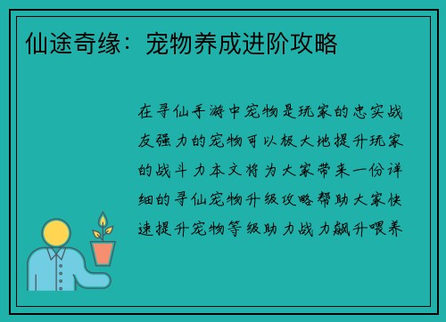仙途奇缘：宠物养成进阶攻略